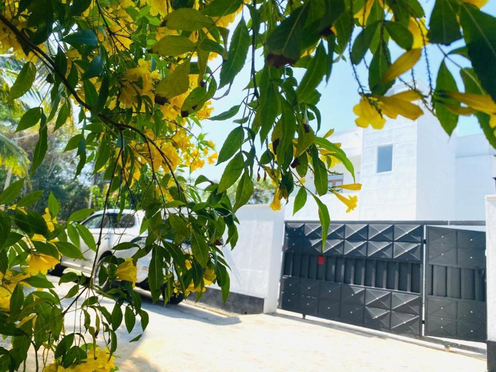 Twinstop Villa Minuwangoda エクステリア 写真
