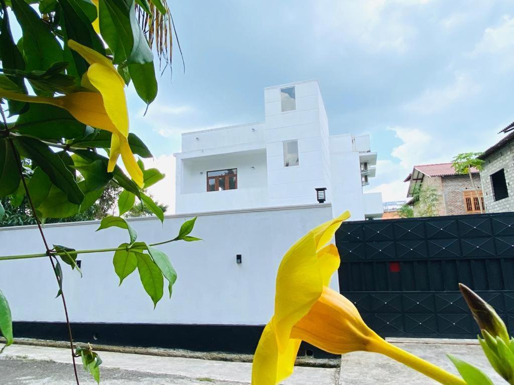 Twinstop Villa Minuwangoda エクステリア 写真
