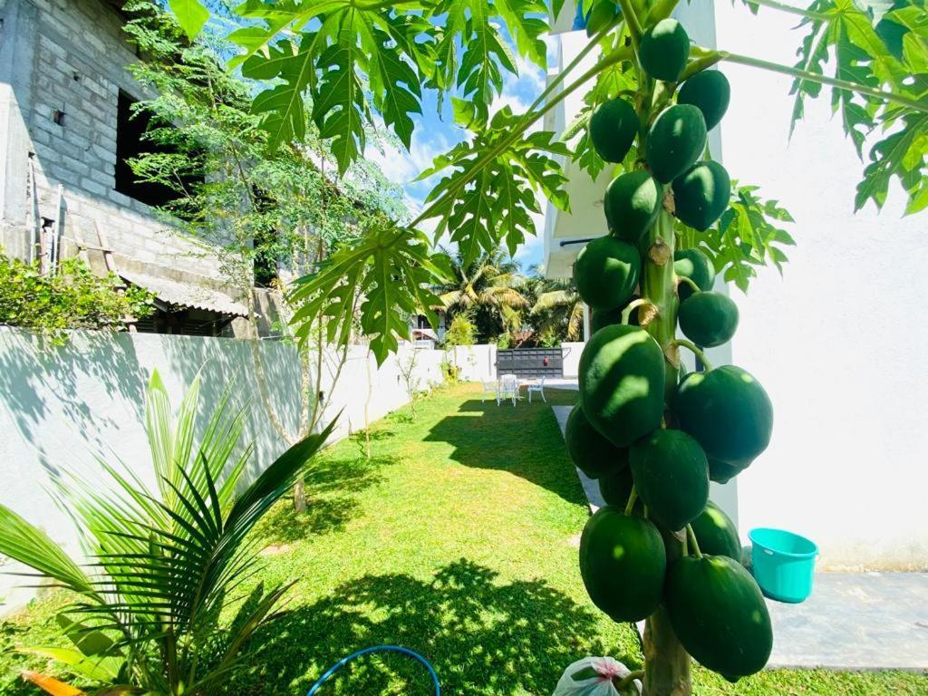Twinstop Villa Minuwangoda エクステリア 写真
