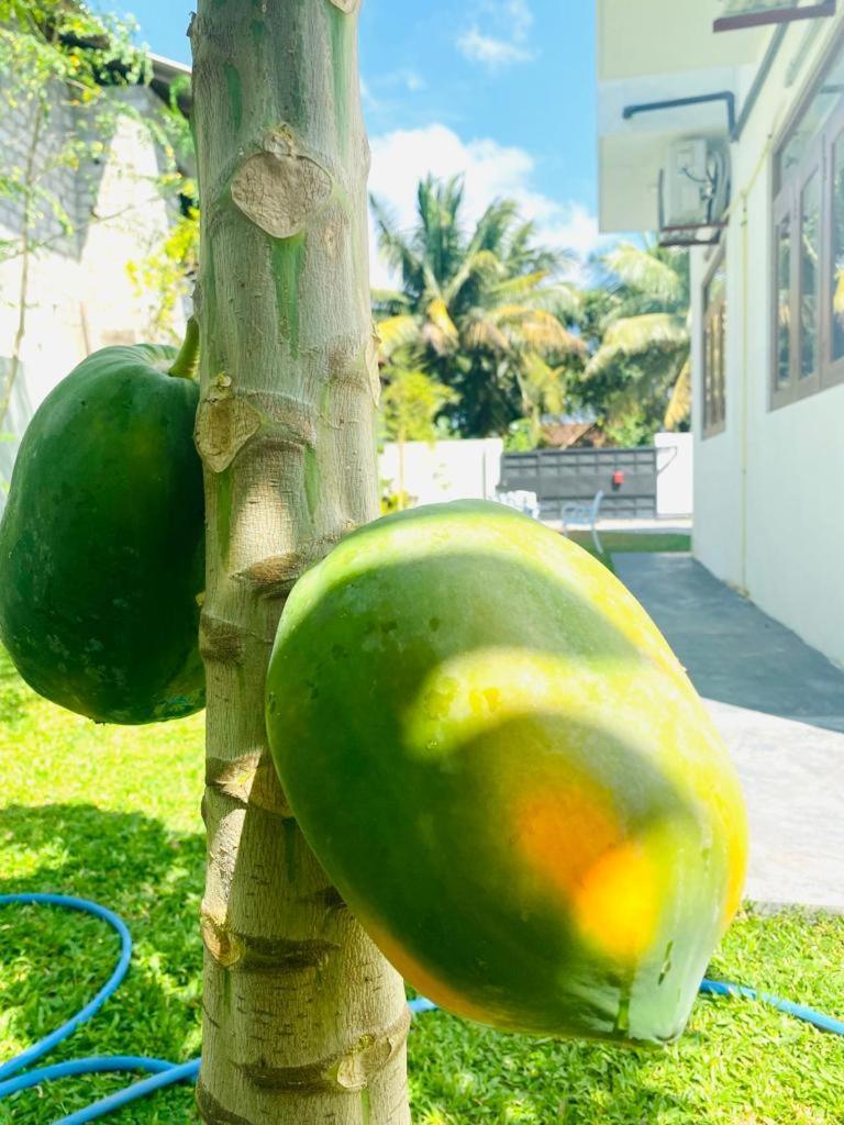 Twinstop Villa Minuwangoda エクステリア 写真